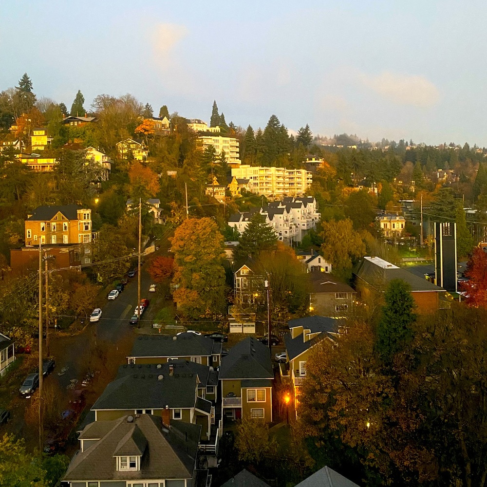 Meet your Posher, Maggie